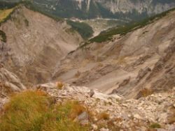 2013-09-08_6Falkenh-Steinfalk (176).JPG